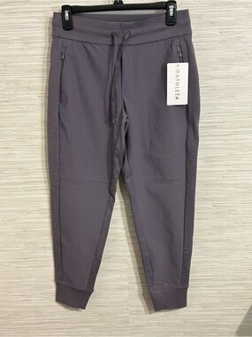 Athleta Headlands Hybrid Trek Jogger Pants Dusk Violet Purple NWT Size 4 Petite